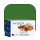 Colway FungiCol Fungoterapia adaptogenna Kordyceps Ganoderma Reishi