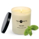 Zapachowa Świeca Sojowa Vera Young DANDY Wild Mint
