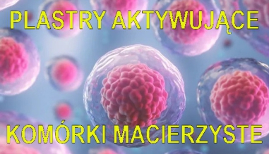 Plastry aktywujące komórki macierzyste